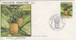 FDC  POLYNÉSIE  1991 TAHITI  # RESSOURCES TRADITIONNELLES # L ANANAS # FLORE # - FDC