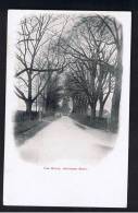RB 915 - Early Postcard - The Drive - Astwood Bank Near Redditch Worcestershire - Autres & Non Classés