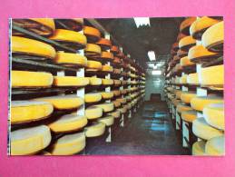 Monroe WI Green County Swiss Cheese Factory  Curing Shelves  = Ref 802 - Other & Unclassified