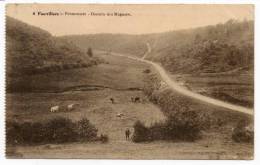 23352  -  Fauvillers  Chemin Des  Muguets - Fauvillers