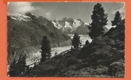 S201, Aletsch Gletscher, Riederalp, 4976, Edit. Gyger, Circulée - Riederalp