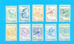 ROUMANIE OISEAUX 1991 / MNH** / B 8 - Seagulls