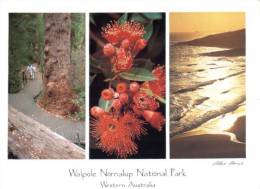 (430) Australia - WA - Walpole Park - Andere & Zonder Classificatie