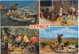 Chypre, Cyprus, CP Multivues, Vendanges, Raisin, Pêche, Ane, Puits, Editions Mona N°542, CP N´ayant Pas Circulé - Chypre