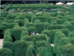 (345) Australia - VIC - Ashcombe Maze - Other & Unclassified