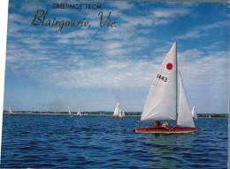 (345) Australia - VIC - Blairgowrie - Sailing Boat - Otros & Sin Clasificación