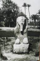 Sphinx Giza - Aswan