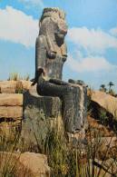 Sekhmet In Mut - Asuán