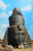 Tete Head Roi  Ramses - Aswan