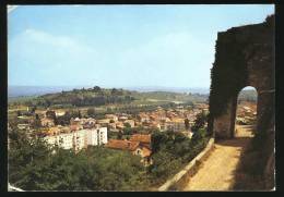 CLERMONT L'HERAULT - Le Portail Naout Et Vue Générale - Clermont L'Hérault