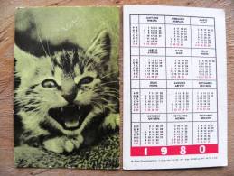 Small Calendar From USSR Latvia 1980, Cat - Kleinformat : 1971-80