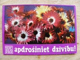 Small Calendar From USSR Latvia 1976, Flora Plants Insurity Flowers - Small : 1971-80