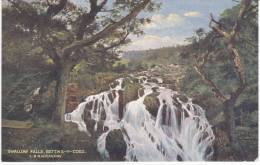 BETTWS Y COED Swallow Falls (Pub London And North Western Railway) - Other & Unclassified