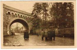 CPA Beauraing, Avenue De La Grotte Et Arbre Des Apparitions (pk8396) - Beauraing