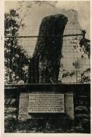 (421) Very Old Postcard - Carte Postale Ancienne - Australia - NSW Blue Mountains Blaxland Tree - Otros & Sin Clasificación