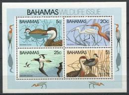 BAHAMAS 1981 - Oiseau Canard- Neuf Sans Charniere (Yvert Bloc 34) - Bahamas (1973-...)