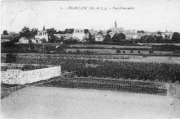 49Z07-DIV-14 - BEAULIEU - Vue D'ensemble - Seiches Sur Le Loir