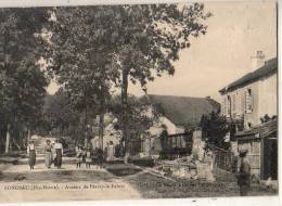 Longeau 52    Avenue De Percey Le Pautel  (voir Scan) - Le Vallinot Longeau Percey