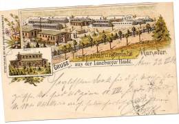 Gruss Aus Truppenubungsplatz Munster 1898 Postcard - Münster