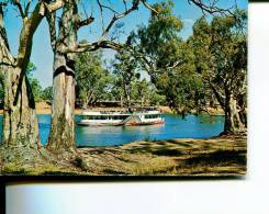 (730) Older Postcard - Carte Assez Ancienne - Australia - VIC - Murray River And Paddle Steamer - Sonstige & Ohne Zuordnung