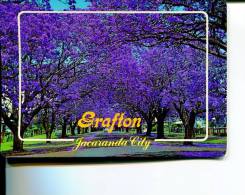 (730) Older Postcard - Carte Assez Ancienne - Australia - NSW - Grafton - Other & Unclassified