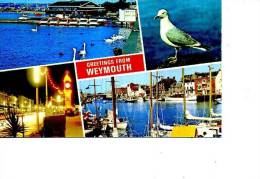 GREETINGS FROM WEYMOUTH 5 VUES/ 1 CARTE TIMBRES - Weymouth
