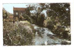 CPA : 59 - Nord : Solesmes : La Selle : Cours D'eau , Maisons ( Moulin ? ) ... - Solesmes