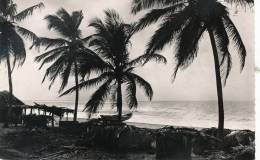 ( CP SM PF AFRIQUE )  TOGO  /  Bord De Mer Au Soleil Couchant  - - Togo