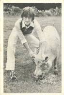 ENGLAND - MUSIC - JOHN LENNON WITH A PIG - 60S RARE PRINT. - Posters