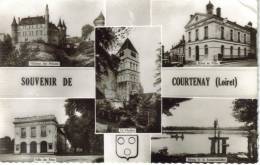 CPSM COURTENAY (Loiret) - Souvenir De....5 Vues - Courtenay