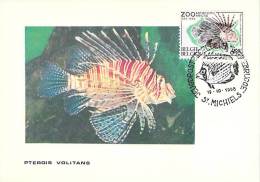 BELGIQUE CARTE  MAXIMUM   NUM.YVERT  1472 FAUNE POISSON ZOO ANVERS - 1961-1970