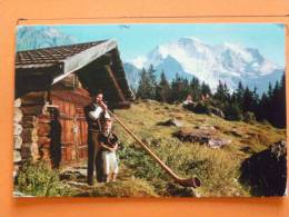 E1-suisse--wengen--joueur Du Cor Des Alpes Et Son Fils-au Fond La Jungfrau-- - Wengen