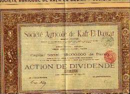 ANVERS/LE CAIRE "Soc. Agricole De Kafr-El-Dawar Sa" - Actiaon De Dividende - Landwirtschaft