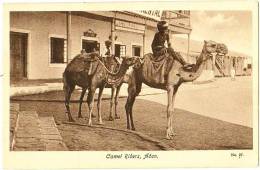 Camel Riders, Aden - Yemen
