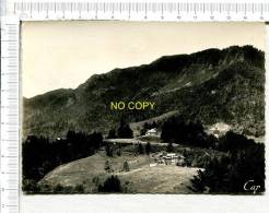 Delcampe - GEX - Route Blanche - Le PAILLY  Et La  Villa   GENTIANE - Gex