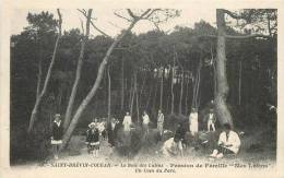 SAINT BREVIN L'OCEAN LE BOIS DES LUTINS PENSION DE FAMILLE UN COIN DU PARC - Saint-Brevin-l'Océan