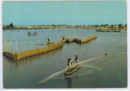 C.P.M. BENIN - Pêcheurs Sur La Lagune - Benin