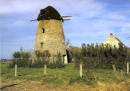 DIKKELVENNE ~ Gavere (O.Vl.) - Molen/moulin - Historische Opname V.d. Tarandusmolen (romp Met Verdwenen Kap En Bovenas) - Gavere