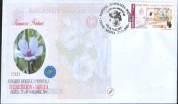 Romania-Envelope Occasionally 2005-Natural Pharmacy, Mallow(althaea Officinalis) - Pharmazie