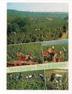 Cp , Agriculture , Vignes , Vendanges Beaujolaises , écrite , Ed : Combier , Création A. Perreaut - Weinberge