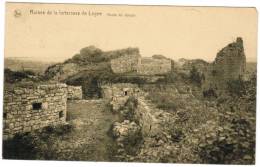 Ruines De La Forteresse De Logne, Accès Du Donjon (pk8449) - Ferrieres