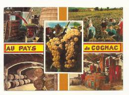 Cp, Vignes, Au Pays Du Cognac, Multi-Vues, Voyagée 1989 - Viñedos