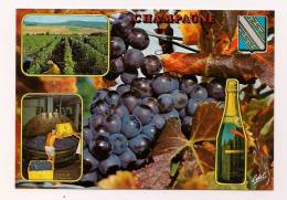 Cp , Agriculture , Vignes , Souvenir De CHAMPAGNE , Vierge , Ed : Estel , Production Leconte , 550 W - Viñedos