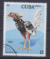 Cuba 1981 Mi. 2561    1 C Bird Vogel Oiseau Kampfhähne - Oblitérés