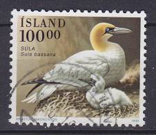 Iceland 1991 Mi. 739     100.00 Kr Bird Vogel Oiseau Basstölpel - Used Stamps