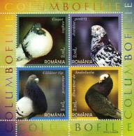 Romania / S/S / Birds / Pigeons - Used Stamps