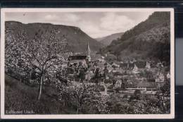 Bad Urach - Panorama - Bad Urach