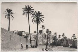 24 LAGHOUAT - Laghouat