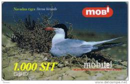 Slovenia, Mobitel, Birds 2, 1000 Tolarjev,   Common Tern , Exp. 31/12/2001. - Slovénie