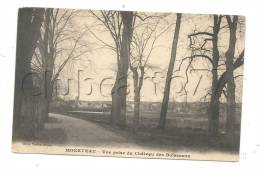 Moneteau (89) : Vue Générale Prise Du Château Des Boisseaux En 1912. - Moneteau